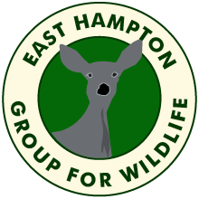 East Hampton Group For Wildlife Logo